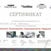 Сертификат отделения Антонова-Овсеенко 31А