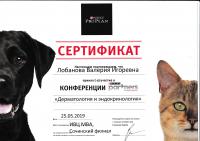 Сертификат сотрудника Лобанова В.И.