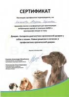 Сертификат сотрудника Качанова М.С.