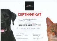 Сертификат сотрудника Кленина Ю.А.