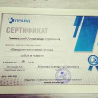 Сертификат клиники Зверополис