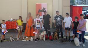 Фотография Дрессировка собак в Воронеже 3